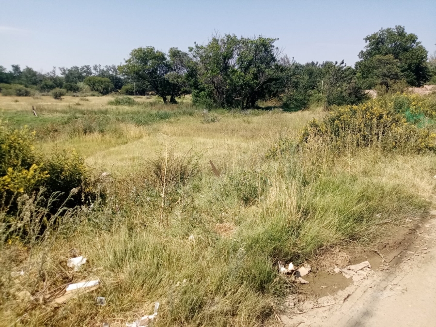Commercial Property for Sale in Brandfort Free State